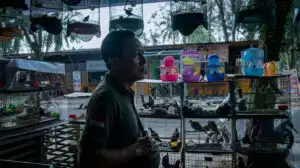 Kios Burung Menjamur, BKSDA Klaim Aman: Benarkah Tak Ada Satwa Dilindungi yang “Terselip”?