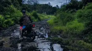 12 Kilometer Tersandera Status Hutan: Ironi Jalan Soren dan Menguapnya Dana Rp29 Miliar