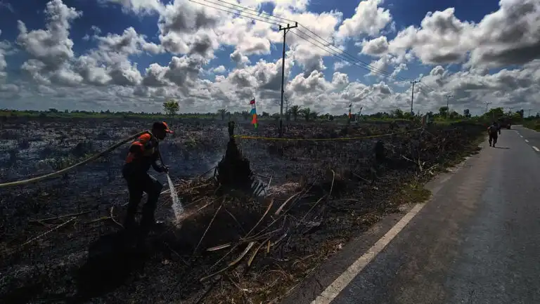Siasat Hitam Pengembang Properti Sengaja Panggang Satu Hektare Gambut Baamang Barat Demi Land Clearing Murah