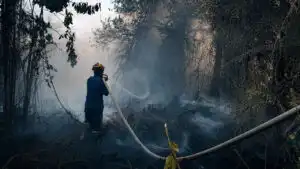 Diduga Dibakar Sengaja, Karhutla Kembali Muncul di Belakang Permukiman Wengga Metropolitan